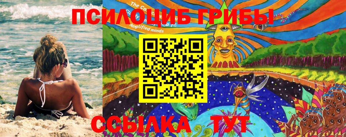 Галлюциногенные грибы Psilocybine cubensis Великие Луки