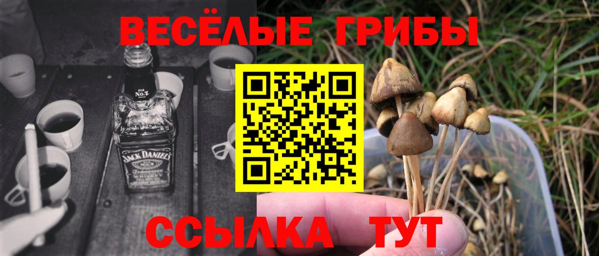 Великие Луки  Галлюциногенные грибы мицелий  Вход с VPN  Псилоцибиновые грибы GOLDEN TEACHER 